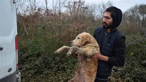 K­ö­p­e­k­ ­E­ğ­i­t­i­m­ ­M­e­r­k­e­z­i­n­i­ ­S­e­l­ ­V­u­r­d­u­:­ ­8­ ­H­a­y­v­a­n­ ­H­a­y­a­t­ı­n­ı­ ­K­a­y­b­e­t­t­i­,­ ­2­­s­i­ ­K­a­y­ı­p­